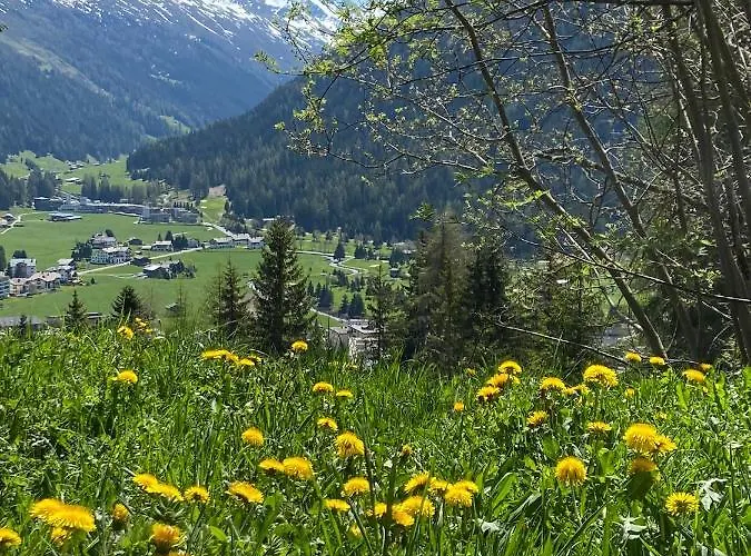 Apartmán Sunneschii